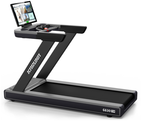 Treadmill 6830