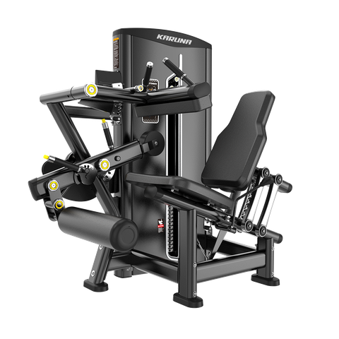 BF12 SEATED LEG CURL