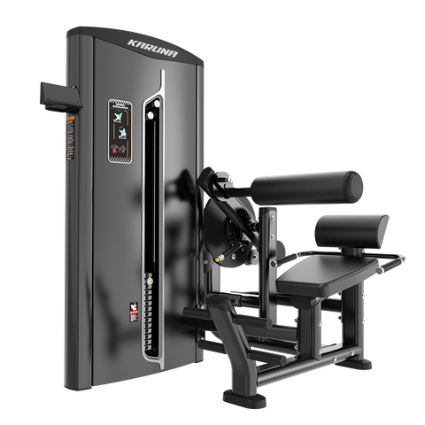 BF35 ABDOMINAL CRUNCH/LOW BACK