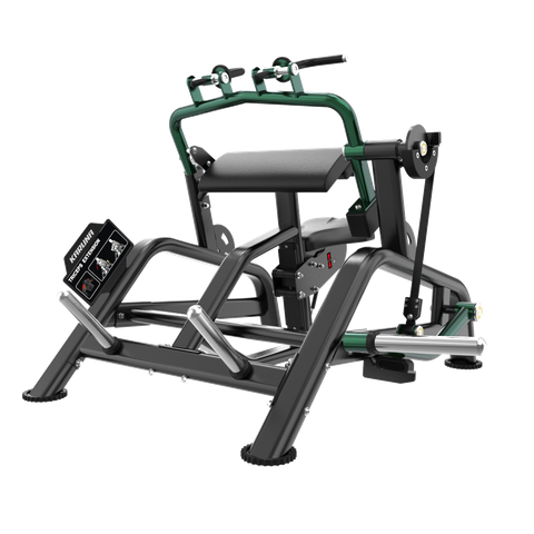 BL06 TRICEPS EXTENSION