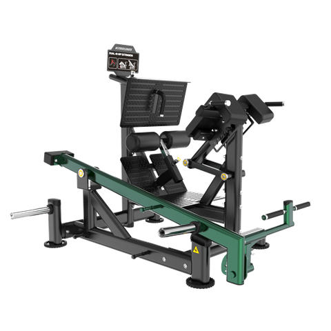 BL33 DUAL 45 HIP EXTENSION