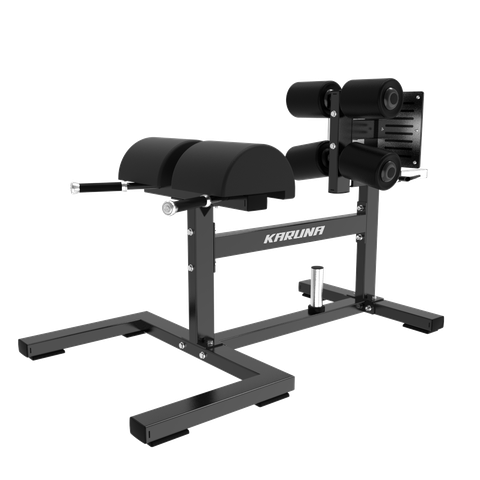 DZ31 horizontal roman chair