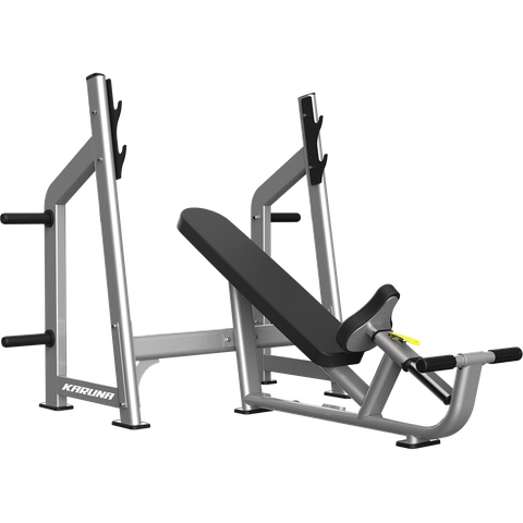 Ghế Dốc Tập Ngực Cao Cấp, Model TH025