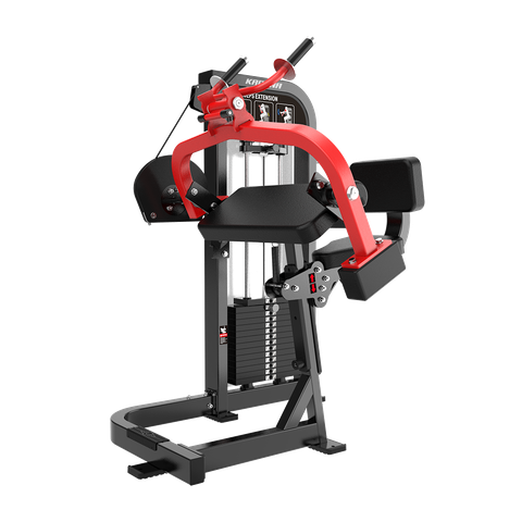 HS10 TRICEPS EXTENSION