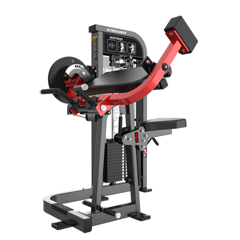 HS34 BICEPS/TRICEPS