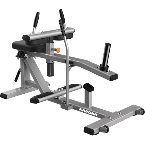 Máy Tập Bắp Chân Ngồi, Model: TH029