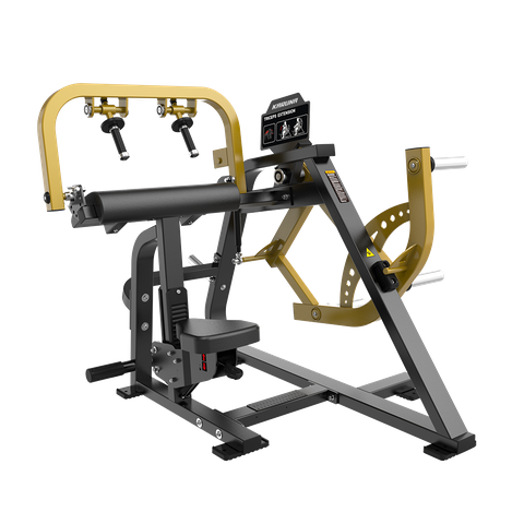 PL06 TRICEPS EXTENSION