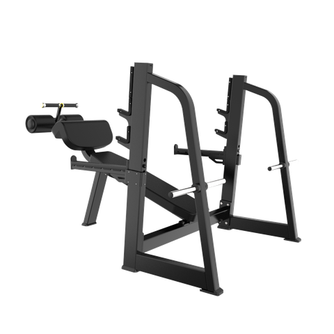 TB41 OLYMPIC DECLINE BENCH