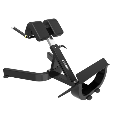TB45 BACK EXTENSION