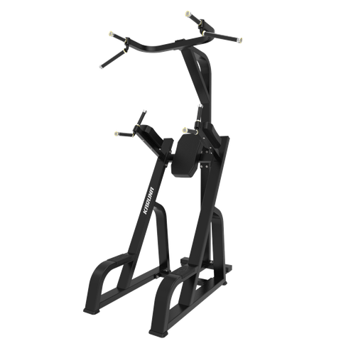 TB80 CHIN UP/DIP & KNEE UP