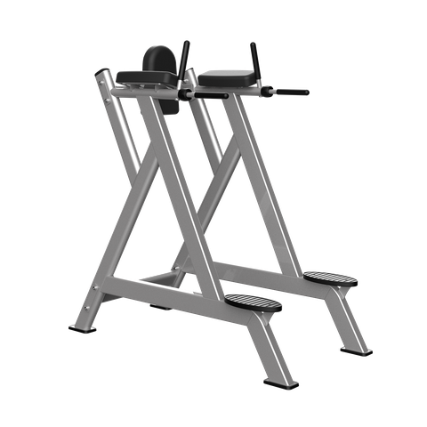 TH-027 VERTICAL KNEE RAISE