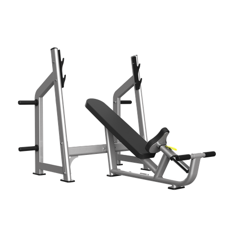 TH-025 INCLINE BENCH(LUXURY)