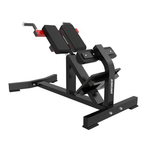 TM11 BACK EXTENSION