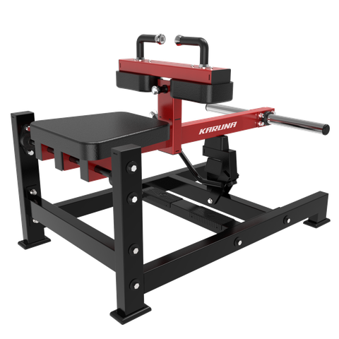 TM23 SEATED CALF MACHINE