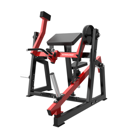 TM29 SEATED BICEPS