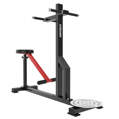 TM95 TORSO MACHINE