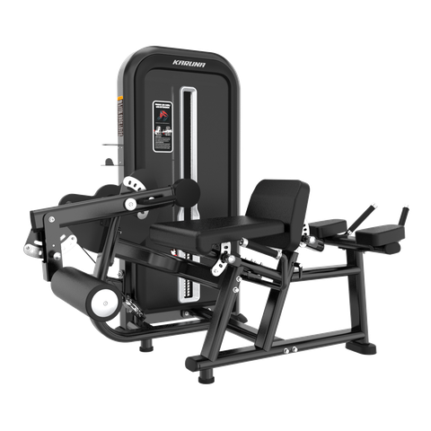 TY28 PRONE LEG CURL/LEG EXTENSION