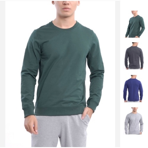 Áo thu đông (áo nỉ) Nam Sweatshirt  Aristino  ASW002W7