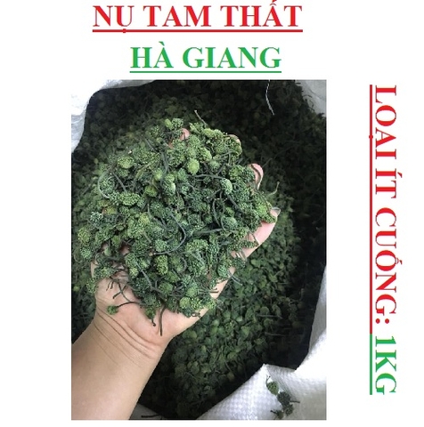 Nụ tam thất hà giang không cuống đóng túi