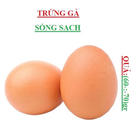 trứng gà sống sạch