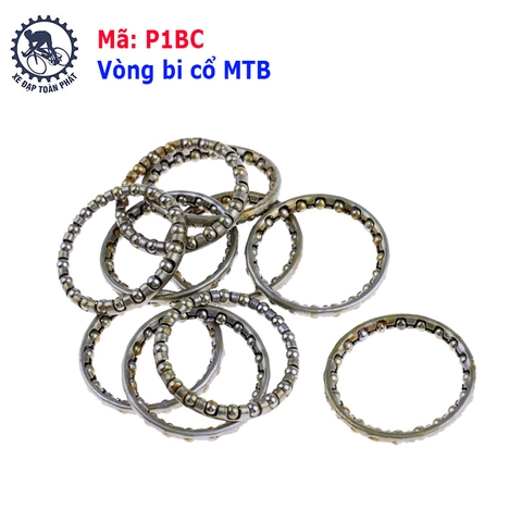 Vòng bi cổ MTB