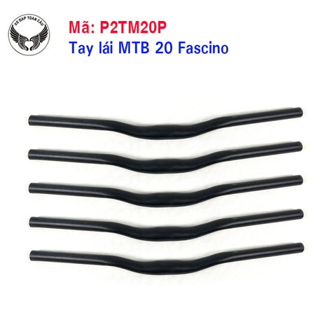 Tay lái MTB 20 Fascino