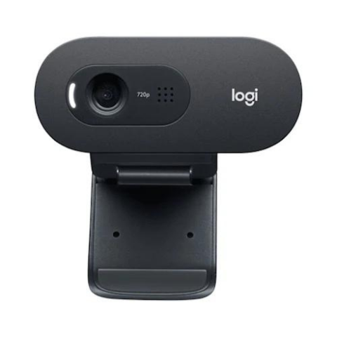 Webcam Logitech C505e