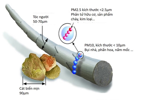 nhung-dieu-nen-biet-ve-bui-min-pm2-5