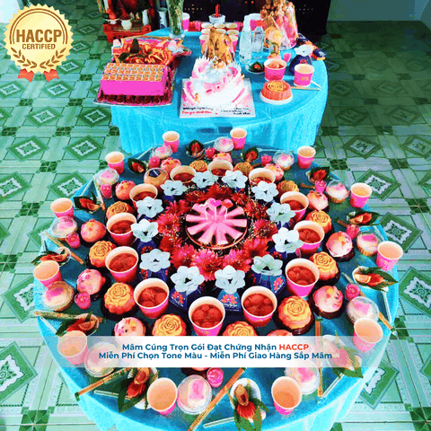 Mâm Cúng Đầy Tháng VIP 3