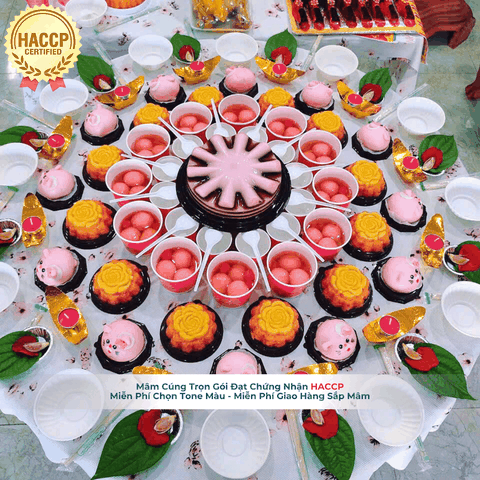 Mâm Cúng Thôi Nôi VIP2