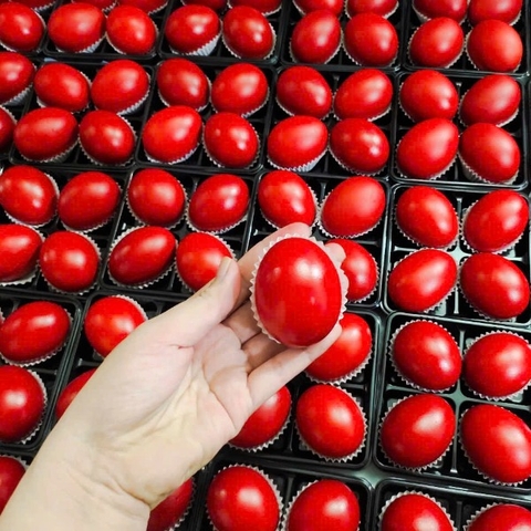 Trứng Gà Đỏ - Trứng Báo Hỷ