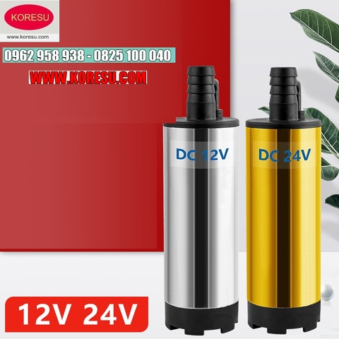 Máy bơm dầu DC 12v24v máy bơm diesel vi mô máy bơm pin máy bơm năng lượng mặt trời dầu và nước mục đích kép