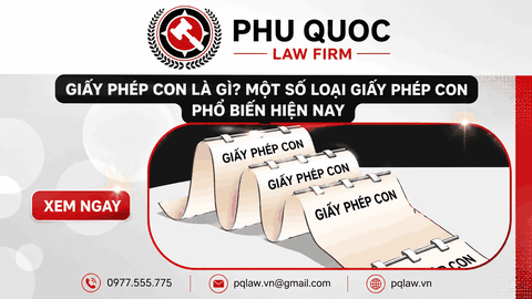 Các giấy phép hoạt động ngành nghề kinh doanh có điều kiện