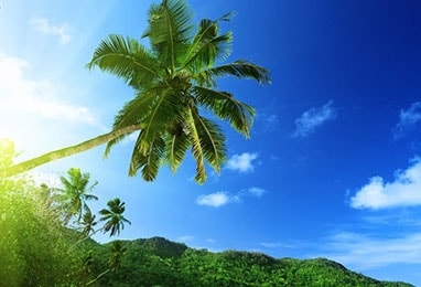 South America