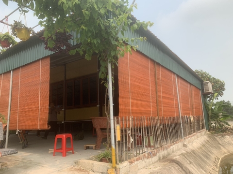 Mành Trúc Che Nắng