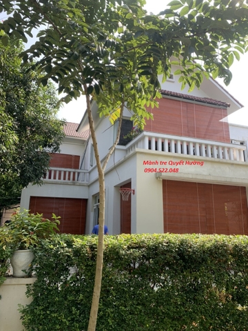 Mành Trúc Đẹp