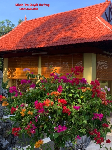 Mành Tre Che Nắng