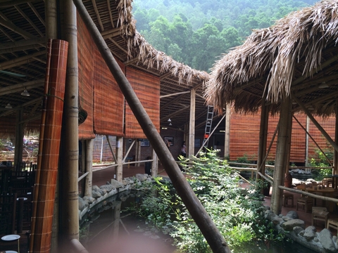Mành Tre
