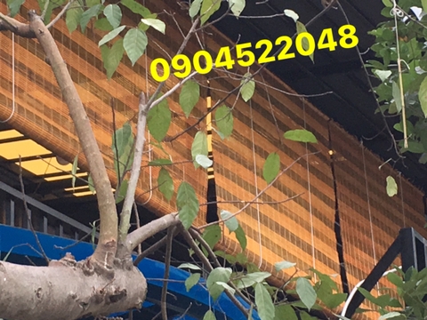 Mành tre nắng nhà hàng