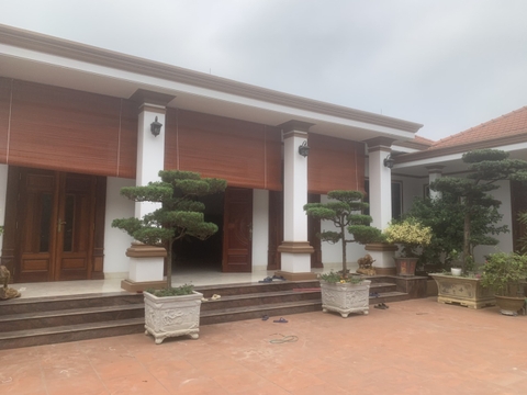 Mành Trúc Che Nắng