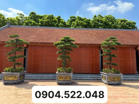 Mành Trúc Che Nắng