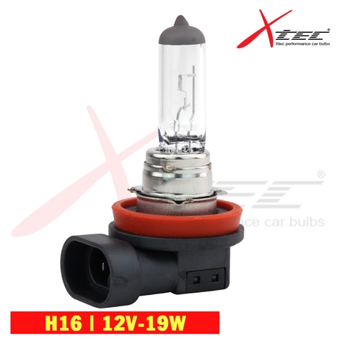 Bóng Đèn Ô Tô Xtec H16 12V 19W - Nhập Khẩu Chính Hãng