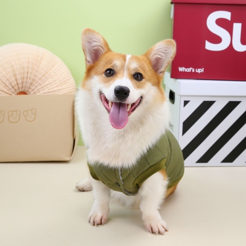 Áo khoác cotton đường may caro cao cấp https://petshopvinh.vn/