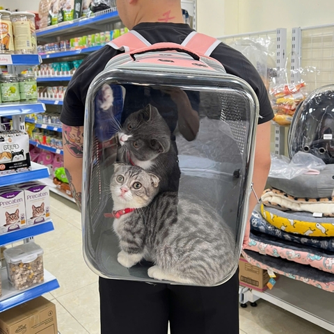 Balo vận chuyển chó mèo vuông trong suốt loại 1 https://petshopvinh.vn/