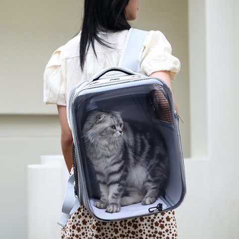 Balo vận chuyển chó mèo vuông trong suốt loại 1 https://petshopvinh.vn/