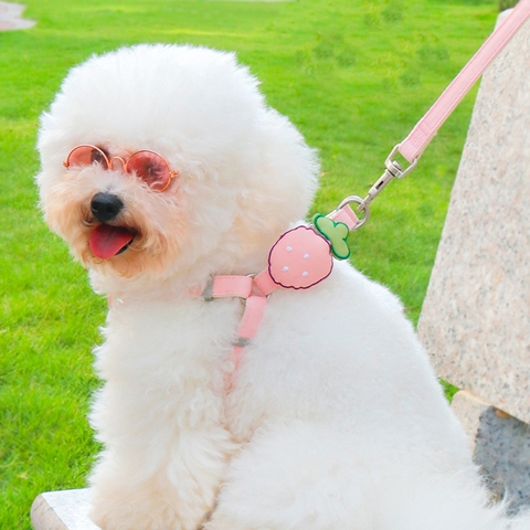 Dây dắt yếm đính dâu tây https://petshopvinh.vn/