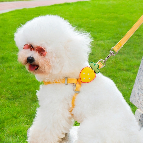 Dây dắt yếm đính dâu tây https://petshopvinh.vn/