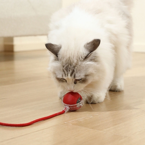 Đồ chơi bóng tự lăn và phát sáng cho chó mèo