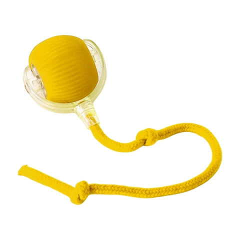 Đồ chơi bóng tự lăn và phát sáng cho chó mèo http://petshopvinh.vn/