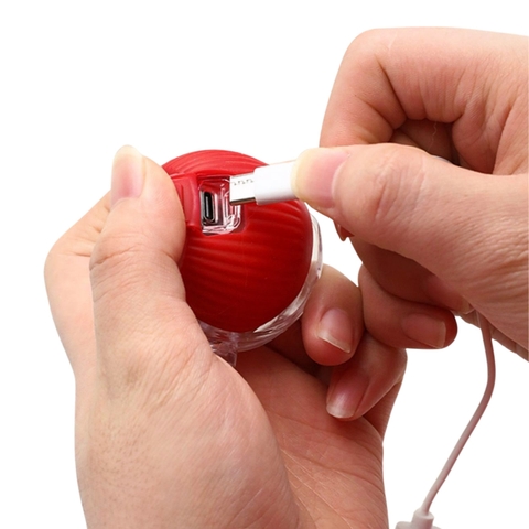 Đồ chơi bóng tự lăn và phát sáng cho chó mèo http://petshopvinh.vn/